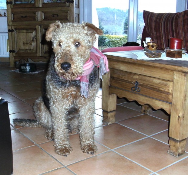 Harry Hopper gen. Benno